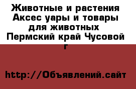 Животные и растения Аксесcуары и товары для животных. Пермский край,Чусовой г.